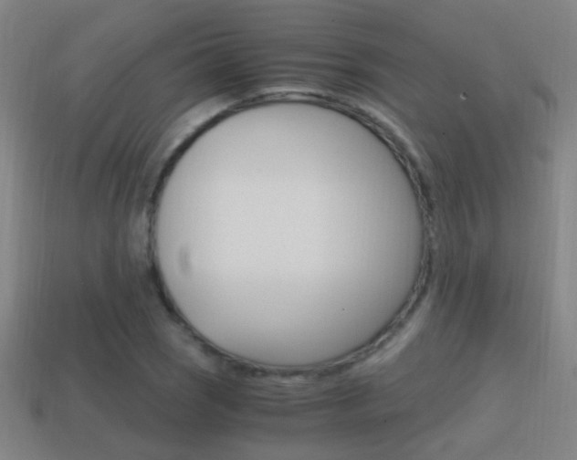 X0000114701121200910211003