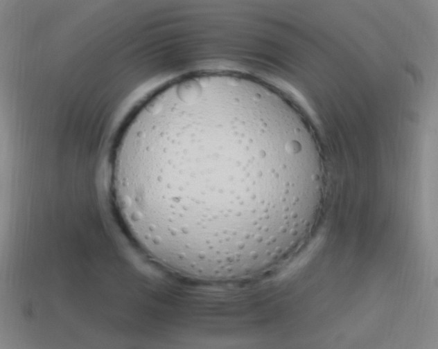 X0000114701125200910211003