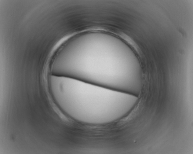 X0000114701127200910211003
