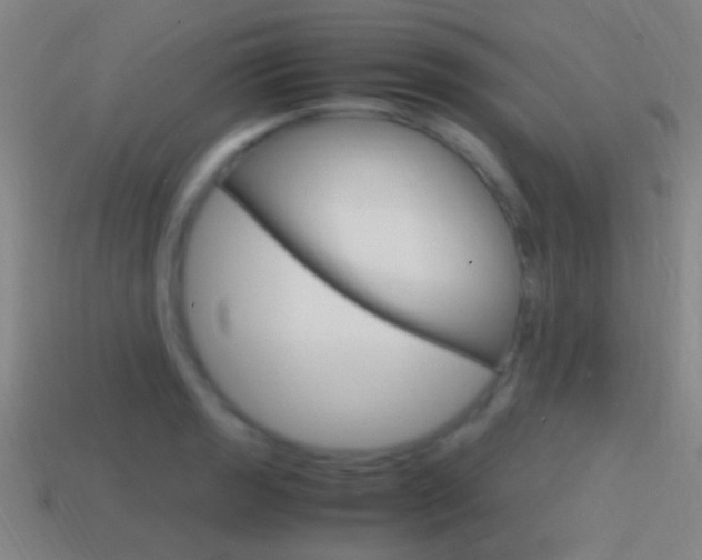 X0000114701133200910211003