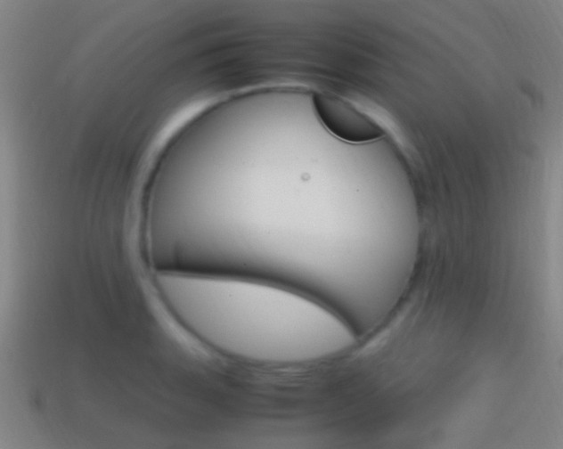 X0000114701135200910211003