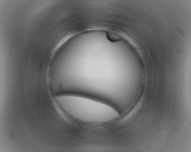 X0000114701137200910211003