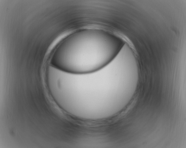 X0000114701138200910211003