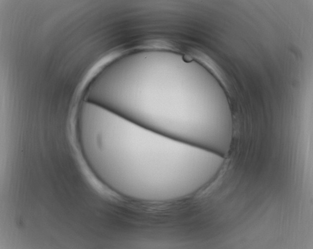 X0000114701139200910211004