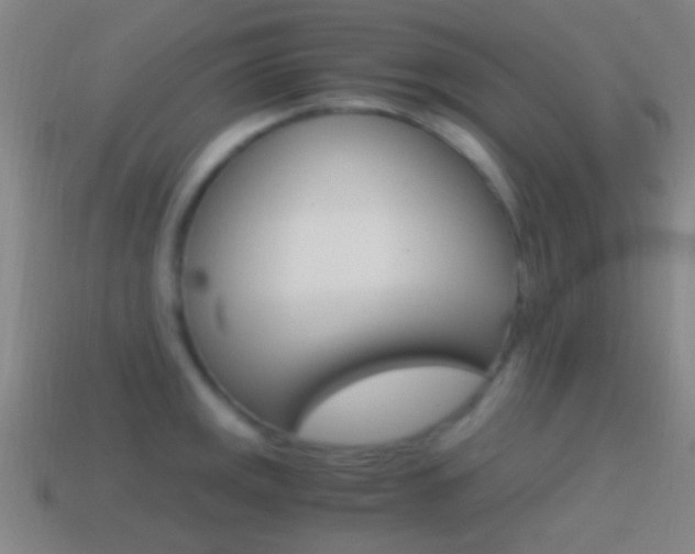 X0000114701141200910211004