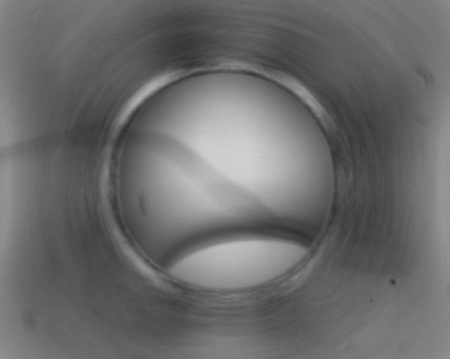 X0000114701142200910211004