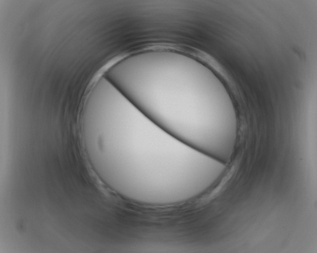 X0000114701145200910211004