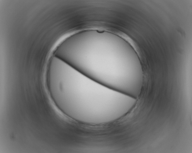 X0000114701147200910211004