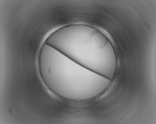 X0000114701149200910211004
