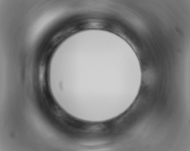 X0000114701150200910211004