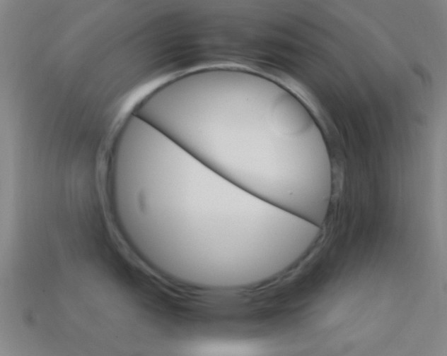 X0000114701151200910211004