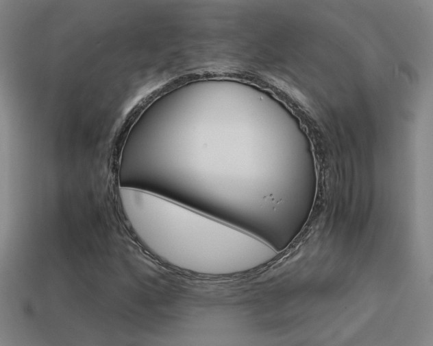 X0000114701160200910211003