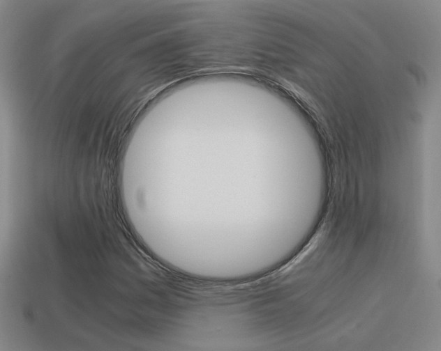 X0000114701161200910211003