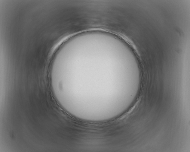 X0000114701167200910211003