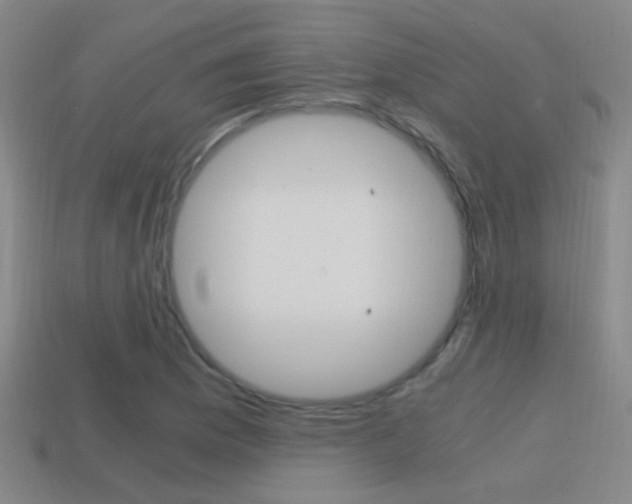 X0000114701169200910211003