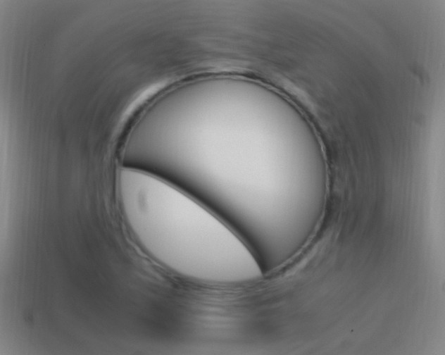 X0000114701171200910211003
