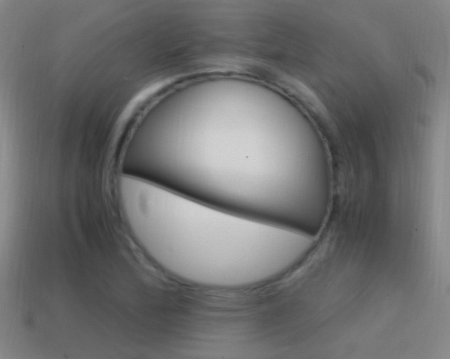 X0000114701172200910211003