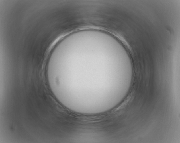 X0000114701173200910211003