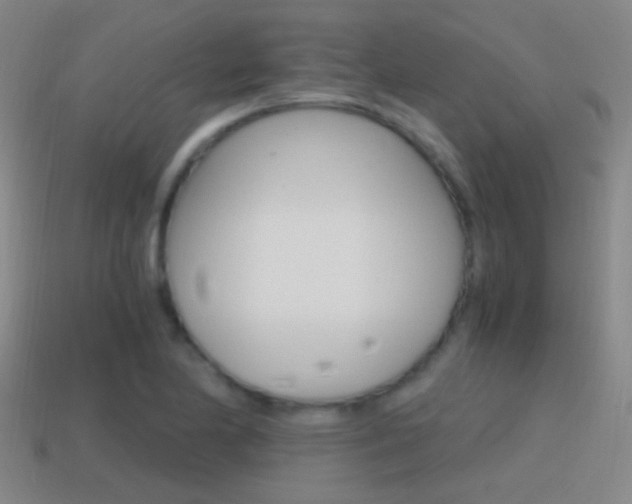 X0000114701174200910211003