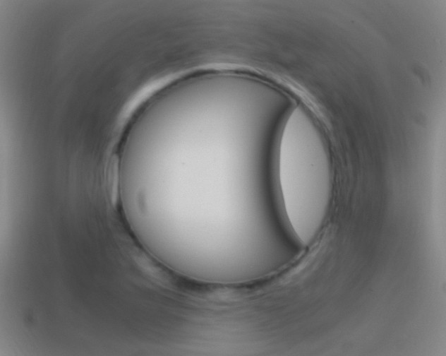 X0000114701175200910211003