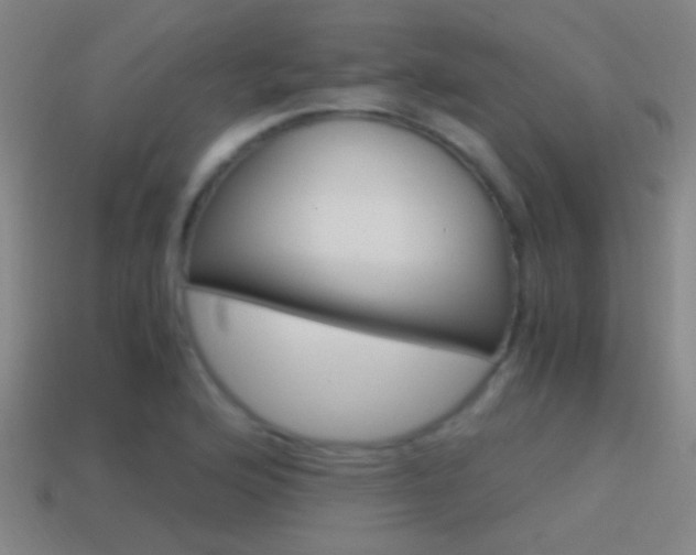 X0000114701176200910211003