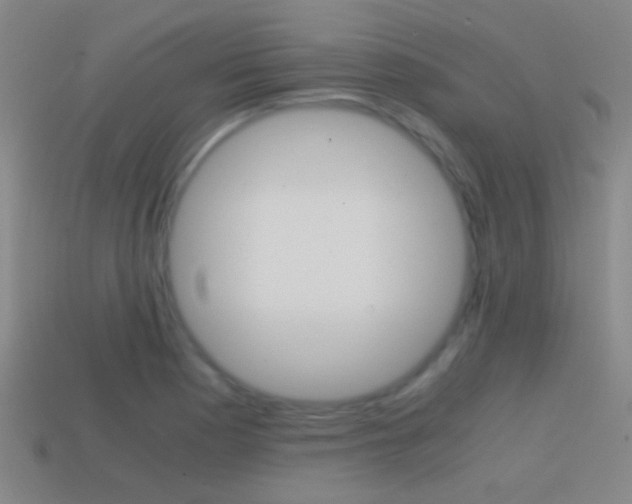 X0000114701177200910211003