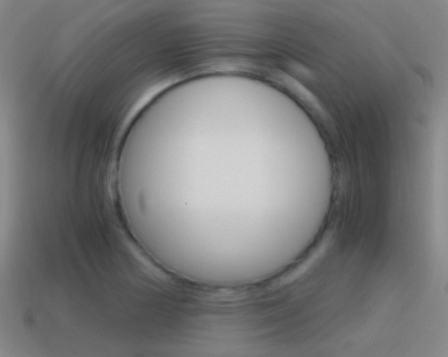 X0000114701178200910211003