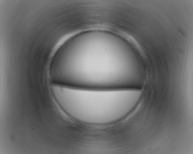 X0000114701184200910211002