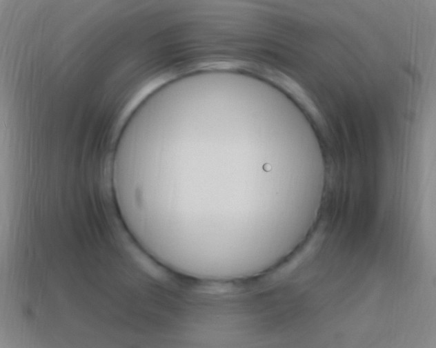 X0000114701186200910211002
