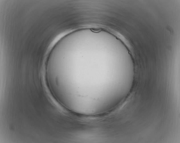 X0000114701187200910211002