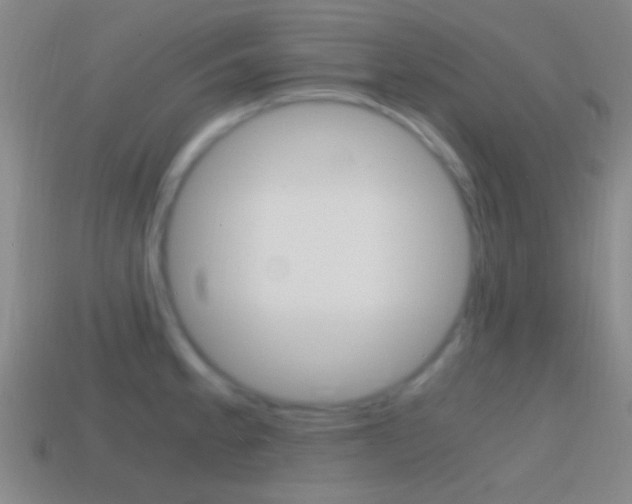 X0000114701189200910211002