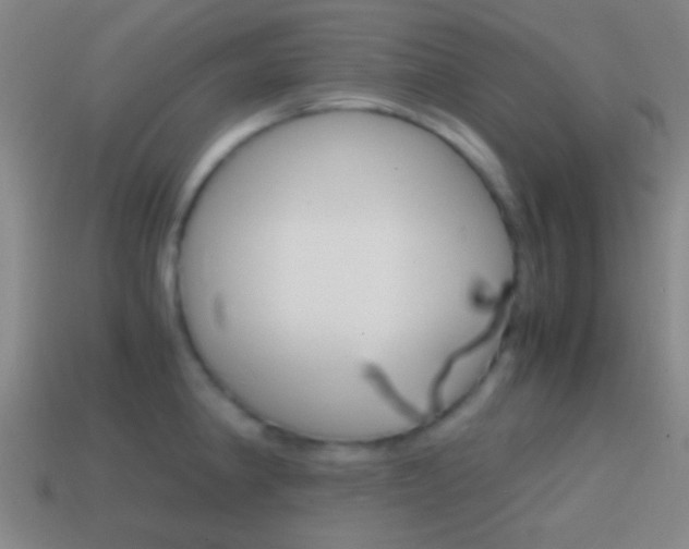 X0000114701190200910211002