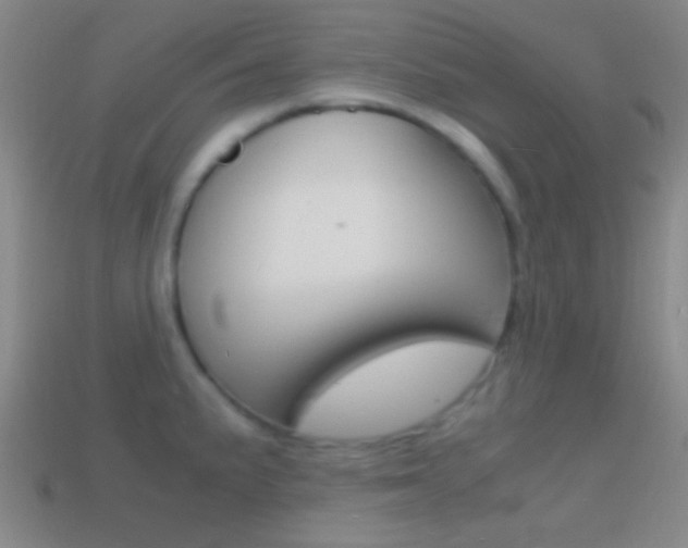 X0000114701191200910211002
