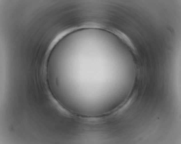 X0000114701192200910211002