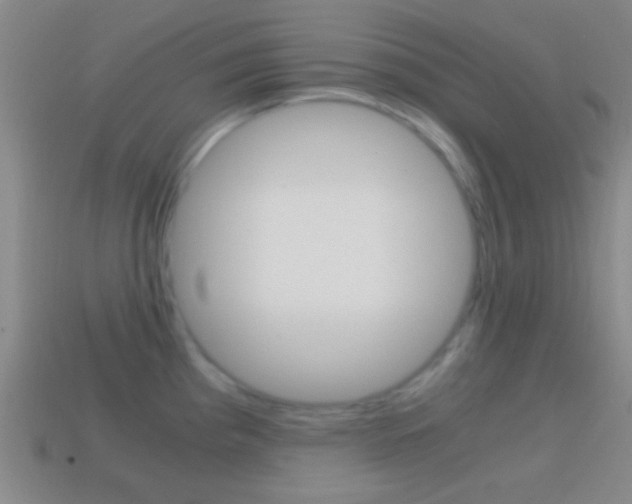 X0000114701193200910211002