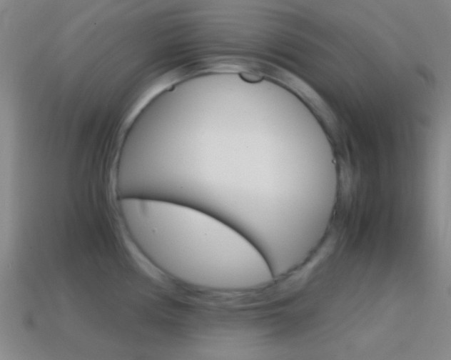 X0000114701194200910211002