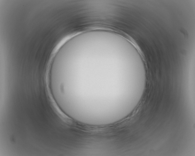 X0000114701195200910211002