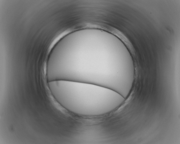 X0000114701198200910211002