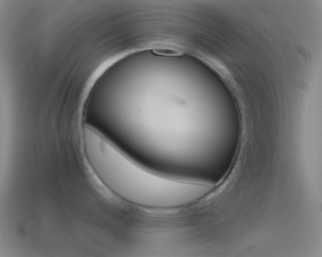 X0000114701200200910211002