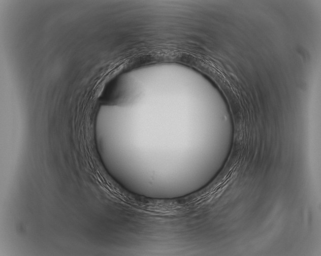X0000114701201200910211001