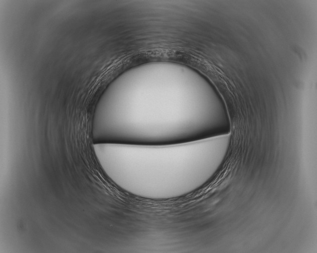 X0000114701202200910211002