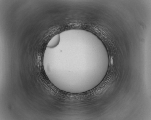 X0000114701203200910211002