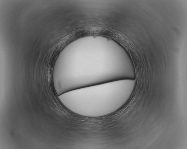X0000114701204200910211002