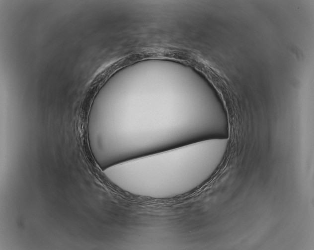 X0000114701206200910211002