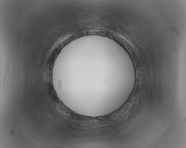 X0000114701207200910211002
