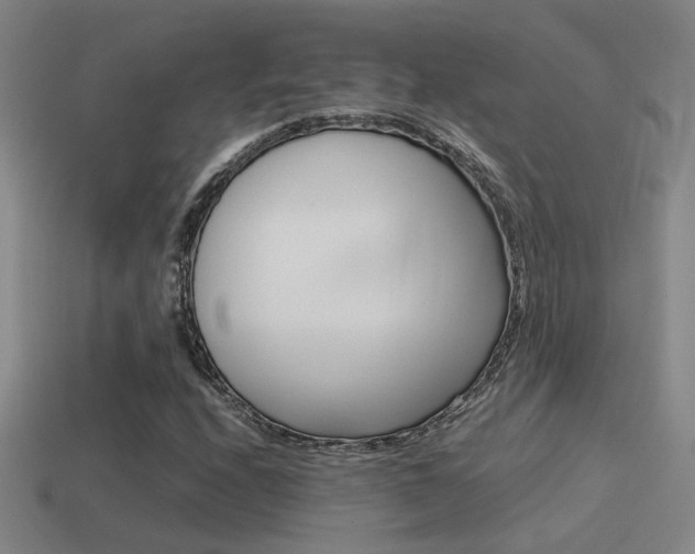 X0000114701208200910211002