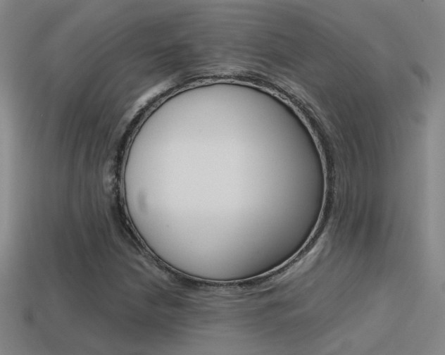X0000114701210200910211002