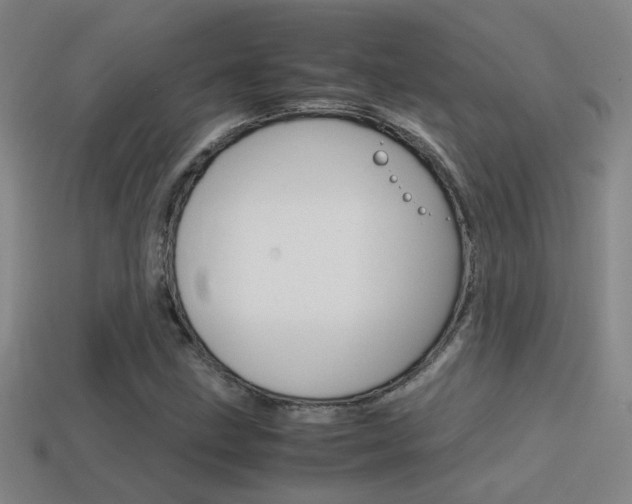 X0000114701211200910211002