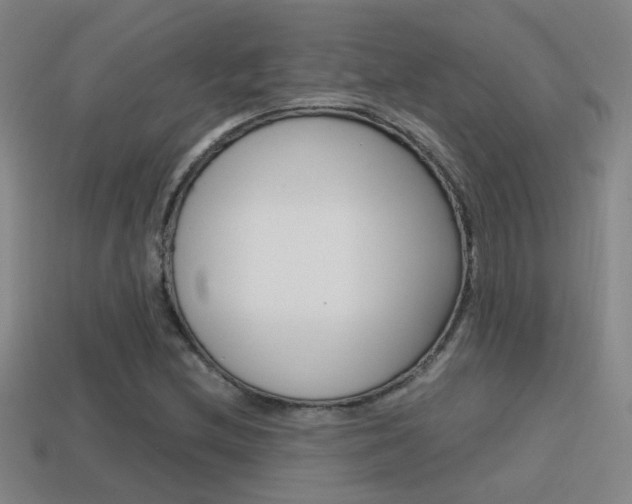 X0000114701212200910211002