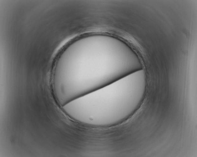 X0000114701216200910211002